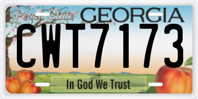 GA license plate CWT7173