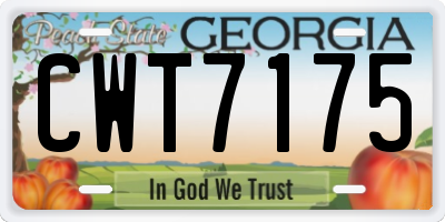 GA license plate CWT7175