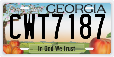 GA license plate CWT7187