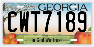 GA license plate CWT7189