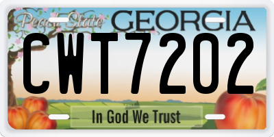 GA license plate CWT7202