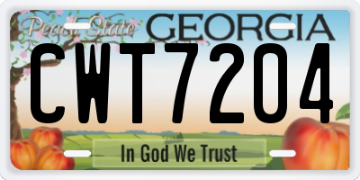 GA license plate CWT7204