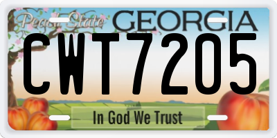 GA license plate CWT7205