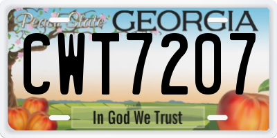 GA license plate CWT7207
