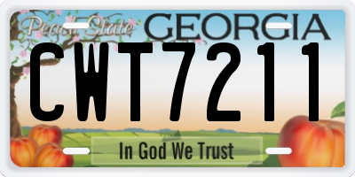 GA license plate CWT7211