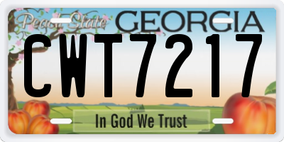 GA license plate CWT7217