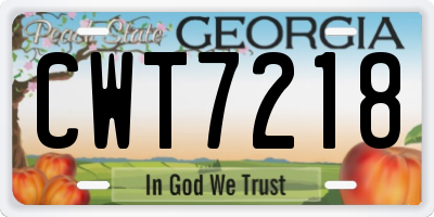 GA license plate CWT7218