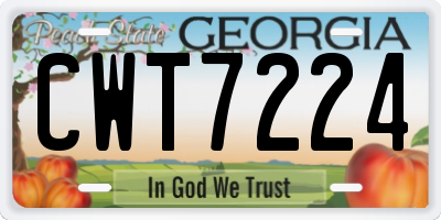 GA license plate CWT7224