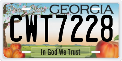GA license plate CWT7228