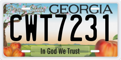 GA license plate CWT7231