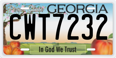 GA license plate CWT7232