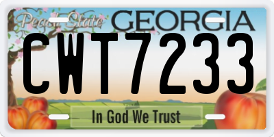 GA license plate CWT7233