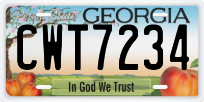 GA license plate CWT7234