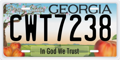 GA license plate CWT7238