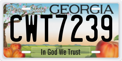 GA license plate CWT7239