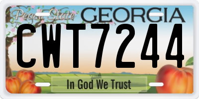 GA license plate CWT7244
