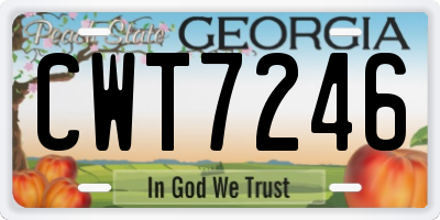 GA license plate CWT7246