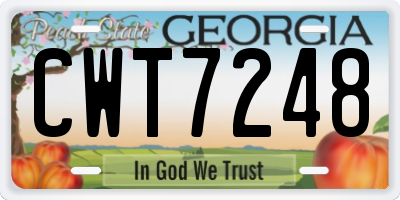 GA license plate CWT7248