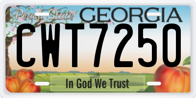 GA license plate CWT7250