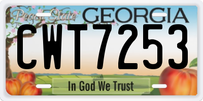 GA license plate CWT7253