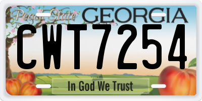 GA license plate CWT7254