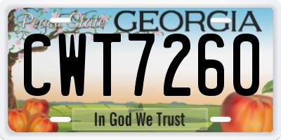 GA license plate CWT7260