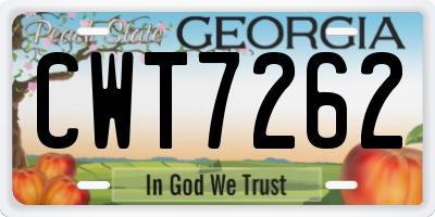 GA license plate CWT7262