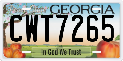 GA license plate CWT7265