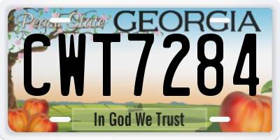 GA license plate CWT7284