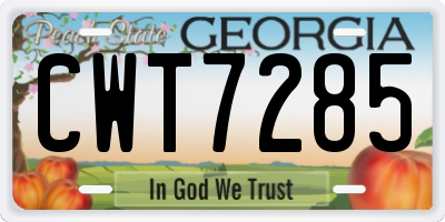 GA license plate CWT7285