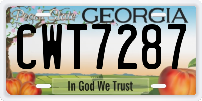GA license plate CWT7287