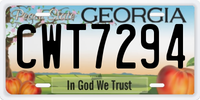 GA license plate CWT7294