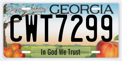 GA license plate CWT7299