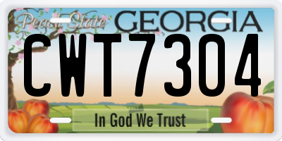 GA license plate CWT7304