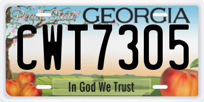 GA license plate CWT7305