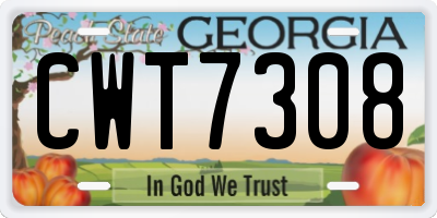 GA license plate CWT7308