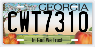 GA license plate CWT7310