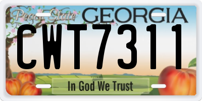 GA license plate CWT7311