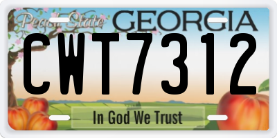 GA license plate CWT7312