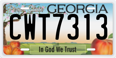 GA license plate CWT7313