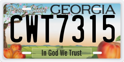 GA license plate CWT7315