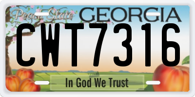 GA license plate CWT7316