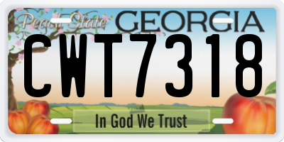 GA license plate CWT7318