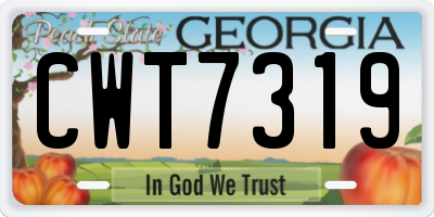 GA license plate CWT7319