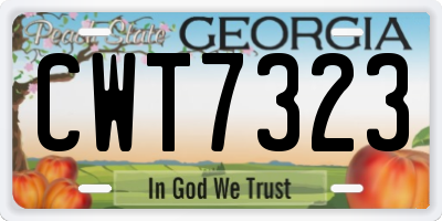 GA license plate CWT7323