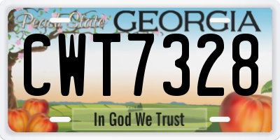 GA license plate CWT7328