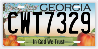 GA license plate CWT7329