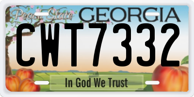 GA license plate CWT7332