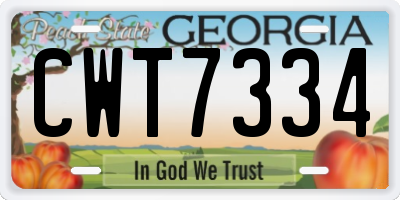 GA license plate CWT7334