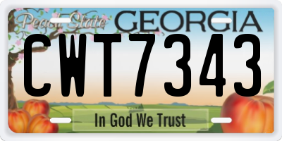 GA license plate CWT7343